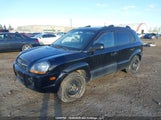 Hyundai Tucson Gls KM8JM72D09U072190 снимка