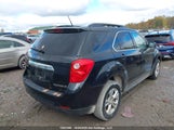 Chevrolet Equinox 1Lt 2GNALBEK9E6383363 снимка