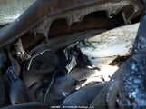 Toyota Rav4 2T3BWRFV0RW212081 снимка