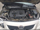 Toyota Corolla 2T1BU4EE6AC212773 снимка