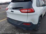 Jeep Cherokee 1C4PJMDS8HW655160 fotografie