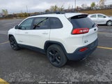 Jeep Cherokee 1C4PJMDS8HW655160 снимка
