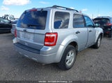 Ford Escape Xlt 1FMCU0D78AKC69986 fotografie