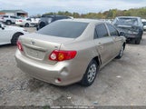 Toyota Corolla Ce 2T1BU4EE7AC418278 fotografie
