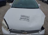 Chevrolet Impala Lt 2G1WB5E39C1201563 снимка