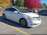 Hyundai Sonata 5NPEC4AC4EH923699 снимка