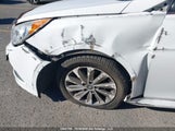 Hyundai Sonata 5NPEC4AC4EH923699 снимка