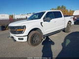Ford F150 1FTFW4L84SFA93171 снимка