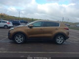 Kia Sportage Lx KNDPM3AC8H7126963 снимка