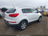 Kia Sportage Lx KNDPBCAC8E7551956 снимка