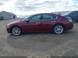 Nissan Maxima 1N4AA5AP4DC821686 fotografie