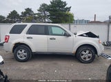 Ford Escape Xlt 1FMCU93G19KA98175 снимка