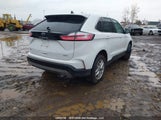 Ford Edge Sel 2FMPK4J95PBA28300 fotografie