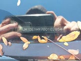 Mazda Mazda2 Gs/Gx JM1DE1HY7B0102854 снимка