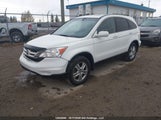 Honda Cr-V Exl 5J6RE4H77BL826308 снимка