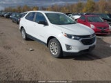 Chevrolet Equinox Ls 2GNAXHEV7L6198159 снимка