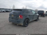 Ford Edge Sel 2FMDK4JC6DBC19315 fotografie