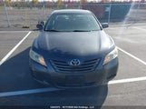 Toyota Camry Se/Le/Xle 4T1BE46K89U899430 fotografie