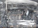 Kia Sportage KNDPXCAF5P7167650 снимка