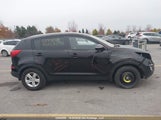 Kia Sportage KNDPB3ACXG7851534 снимка