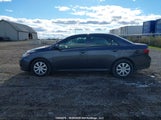 Toyota Corolla S/Le/Xle 2T1BU4EE8AC342702 снимка