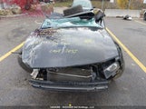 Ford Mustang 1ZVHT85H385205539 снимка