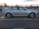 Kia Optima KNAGN4AD1E5074639 fotografie