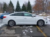 Hyundai Sonata 5NPE34AF4GH367598 снимка