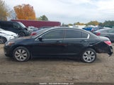 Honda Accord Ex 1HGCP26799A800491 снимка