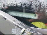 Ford Fiesta Se 3FADP4BJ9EM242659 снимка