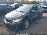 Toyota Corolla S/Le/Xle 2T1BU40E19C055107 fotografie