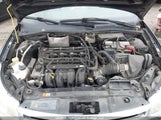Ford Focus Se 1FAHP3FN6AW243514 снимка