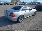 Mercedes-Benz Slk 320 WDBKK65F04F304997 снимка