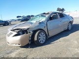Toyota Camry Se/Le/Xle 4T1BK46KX9U087345 fotografie
