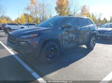 Jeep Cherokee Trailhawk 1C4PJMBS5GW196087 снимка