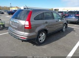 Honda Cr-V Ex-L 5J6RE4H7XBL811396 photo