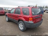 Ford Escape Xlt 1FMYU93116KB87306 снимка