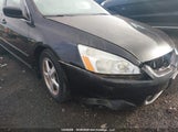 Honda Accord Ex-L/Lx-G 1HGCM56604A811793 photo