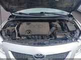 Toyota Corolla S/Le/Xle 2T1BU4EE9AC196424 снимка
