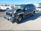 Chevrolet Trailblazer Ls/Lt 1GNDT13S452319500 снимка