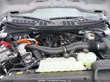 Ford F150 Xl 1FTFW1FD1SFA97797 снимка