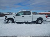 Ford F150 Xl 1FTFW1FD1SFA97797 снимка