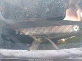 Honda Civic Touring 2HGFB2F76DH109389 снимка