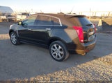Cadillac Srx Performance Collection 3GYFNDE34DS580979 photo
