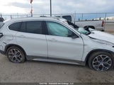 BMW X1 xDrive28I WBXJG9C01M5S87229 снимка