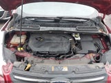 Ford Escape Se 1FMCU0GX9FUA20555 снимка