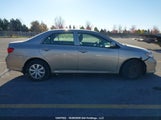 Toyota Corolla Ce 2T1BU4EE5AC248423 fotografie