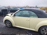 Volkswagen New Beetle 2.5 3VWRF21Y96M316974 снимка