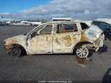 Volkswagen Tiguan 3VV2B7AX0MM063160 снимка