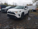 Toyota Rav4 Le 2T3B1RFV4PC354463 снимка